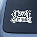 OZZY OSBOURNE - Vinyl Car Decal Sticker #1816 | Vinyl Color: White