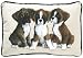 Fiddler's Elbow Boxer Puppies Leslie Anderson Designer Decorative Dog Pillow