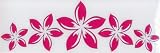Plumeria Strip 902