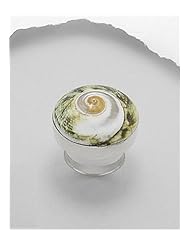 Shell Ring In 92.5 Sterling Silver