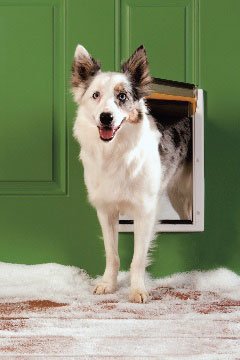 Petsafe Extreme Weather Pet Door White Medium - PPA00-10985