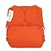 bumGenius Freetime All-in-One One-Size Snap Closure Cloth Diaper (Sassy)