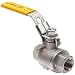 Merit Brass Stainless Steel 316 Ball Valve, Two Piece, Full Port, Lever, NPT Female