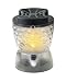 ThermaCELL MR-9C Mini Cordless Portable Mosquito Repellent Lantern