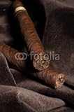 Wallmonkeys Peel and Stick Wall Decals - Pair of Cigars - 60