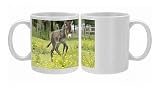 JD-19780 Donkey, baby 5 days old Photo Mugs