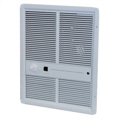Fan Forced Double - Pole 16,380 BTU ( 240v ) Wall Heater w/ Summer Fan Switch Color: White