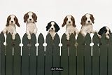 Large 35x23 inch Puppy Poster