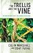 The Trellis and the Vine: The Ministry Mind-Shift That Changes Everything