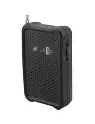 CE: 1 - Portable Radio, AM/FM radio, Telescopic FM antenna, Built-in AM antenna - GPX