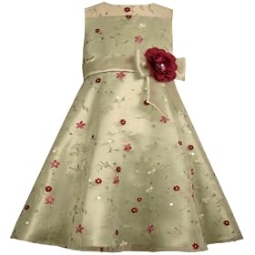 Bonnie Jean Girls 2-6x Sleeveless Ivory Social Dress W/Allover Embroidery