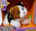 FurReal Newborn Calico Kitten