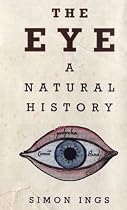 The Eye