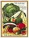 Sunrise Vegetable Seeds Porcelain Refrigerator Magnet
