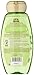 Garnier Whole Blends Shampoo with Green Apple & Green Tea Extracts, Normal Hair, 12.5 fl. oz.