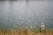 Wallmonkeys Peel and Stick Wall Decals - Fisherman in River - Removable Graphic