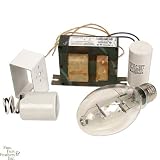 400 Watt Metal Halide Ballast - Transformer and Capacitor Only