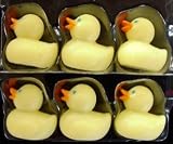  : 6 Mini Rubber Duck, Ducky Refigerator Magnets