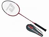 DHS 4090 Aluminum-Graphite Shaft Badminton Racket