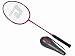 DHS 4090 Aluminum-Graphite Shaft Badminton Racket