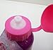 Disney Princess Aluminum Water Bottle