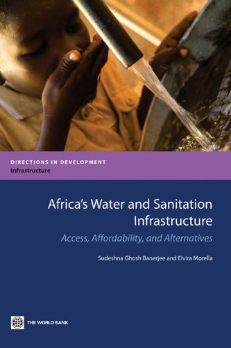 Africa's Water and Sanitation Infrastructure (Directions in Development)