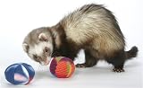 Save Marshall Polar Ferret Toys Asst 2 Pack