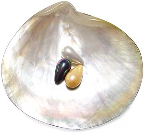 cathaygems 8x14mm Drop Shaped Southsea Shell Pearl Half Drilled