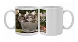 Norweigan Forest Cat - three in metal planter with flowers Photo Mugs