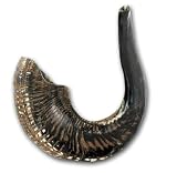 Rams Horn