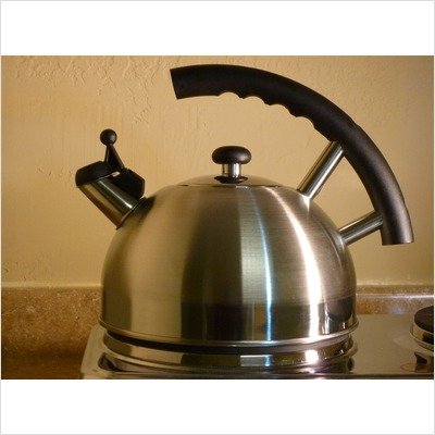Ragalta Quality Stainless Steel Tea Kettle - Ragalta RTK-265 Ragalta Quality Stainless Steel Tea Kettle - Ragalta RTK-265