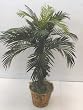 44" Tropical Phoenix Palm