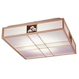 ■丸善 和風シーリングライト10～12畳用（照明器具/114Wインバータ　スリムサークル　プルレスリモコン）RT-90394