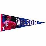 NHL New York Rangers Jason Wilson Premium Quality Pennant 12-by-30 Inch