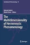 The multidimensionality of hermeneutic phenomenology