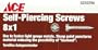 Gilmour ACE SELF PIERCING SCREWS Slotted hex washer head
