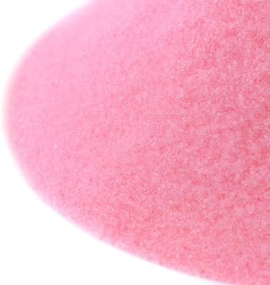 Curing Salt (Prague Powder #1) 1 lb bulk bag pack of 2