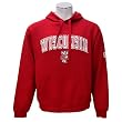 Wisconsin Badgers Men's Team Color Automatic Fleece Hoodie