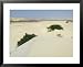 Desert and Sand Dunes in the Middle of the Island of Boa Vista, Cape Verde Islands, A...