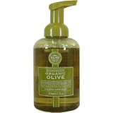 Olive Oil Greenscape Somerset Organic Foaming Hand Wash 17 fl oz Pump