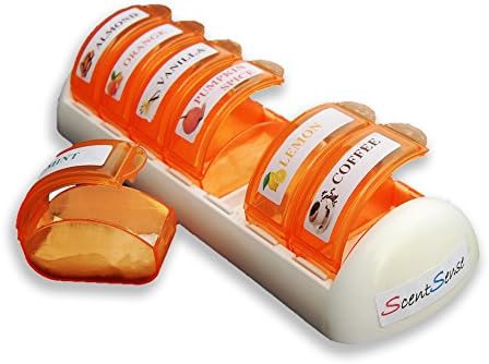 (FREE SHIPPING) Autism Sensory Toy - Scented All natural ScentSense (orange)