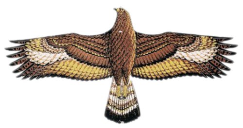 Günther 1146 - Drachen Steinadler mit Schnur 122 x 68 cm