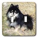 Dogs Pomeranian - Black and Tan Pomeranian - Light Switch Covers - double toggle switch