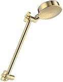 Danze D461025PBV 3-1/2-Inch Downpour Showerhead with 9-Inch Adjustable Arm, Polished Brass