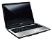 Toshiba Satellite L350-15V 43,2 cm (17 Zoll) WXGA Notebook (Intel Core 2 Duo T2390 1,86GHz, 3GB RAM, 250GB HDD, Intel GMA X3100 , DVD+- DL RW, Vista Home Premium)