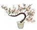 Glass Bonsai Flower Tree