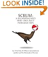 Scrum: a Breathtakingly Brief and Agile Introduction