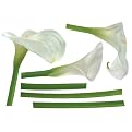 Arum For Wedding Stickers - White