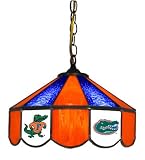 14 Swag Hanging Lamp Light University of Florida Gators - Free Shipping