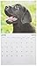 2016 Puppies Calendar - 16-Month Wall Calendar Planner